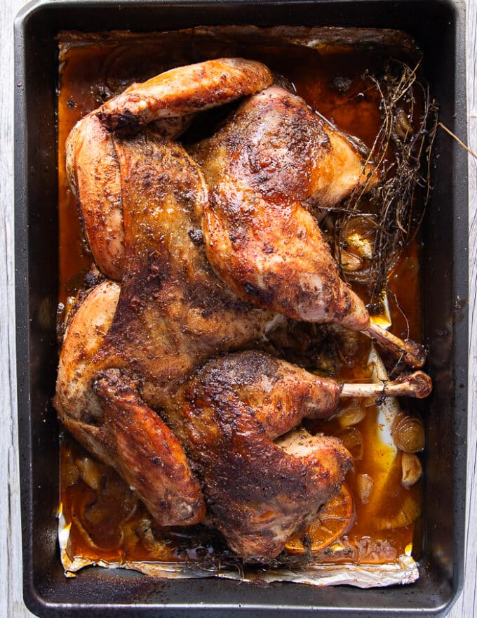 golden roasted spatchcock turkey on the roasting pan ready out of the oven 