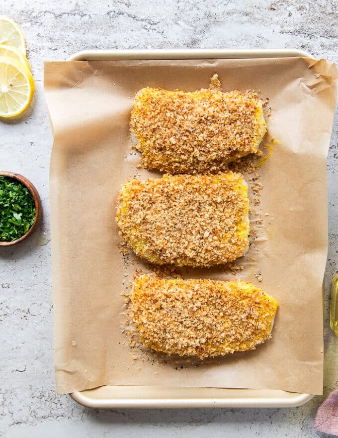 cod fish with the tops coated in panko breadcrumbs on a baking sheet ready to go in the oven