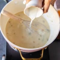 A hand now adding in a stream of milk into the soup