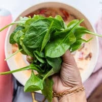 A hand holding the fresh baby spinach to add it to the lobster sauce