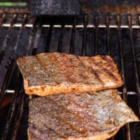 Crispy trout skin grilled and flipped showing the grill marks