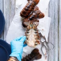 a hand wearing gloves and separating the lobster meat from the shell carefully