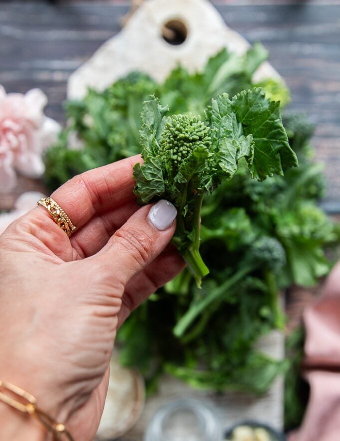 A hand holding a piece of broccolil rabe close up showing the distinct leaf and floret and how it should look