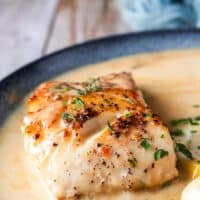 Close up of one black cod in the beurre blanc or creamy lemon sauce for fish
