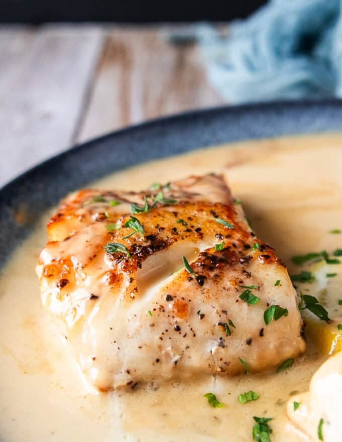 Close up of one black cod in the beurre blanc or creamy lemon sauce for fish