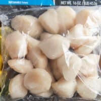 A bag of large plum scallops thawed