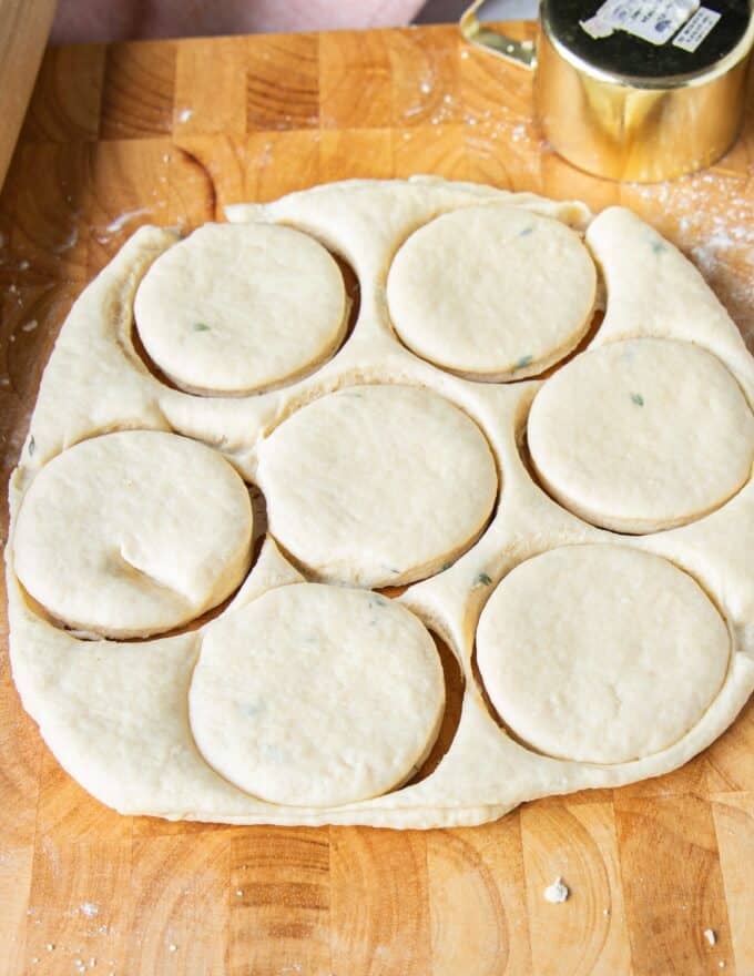 cut our circles of the biscuit dough on the surface 