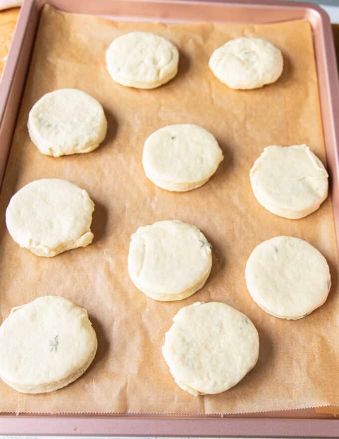 cut out biscuits arranged on a baking sheet with an inch apart space 