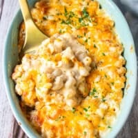 close up of the mac and cheese served out showing the luscious and creamy texture