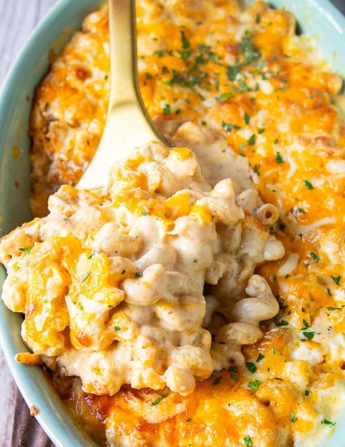 close up of a creamy mac and cheese recipe scoop