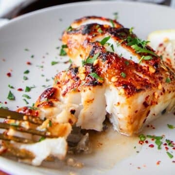 flakey miso glazed chilean sea bass broken with a fork