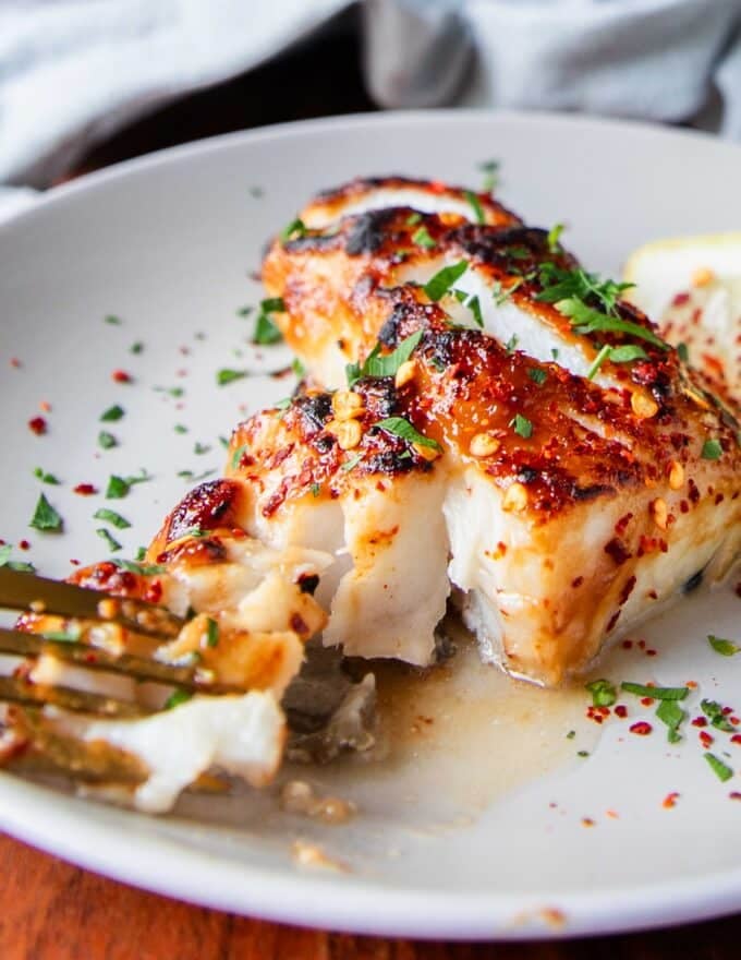 flakey miso glazed chilean sea bass broken with a fork