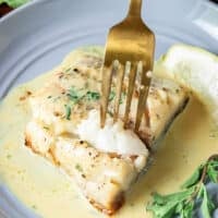 succulent flaky chilean sea bass with a fork showing how juicy it is