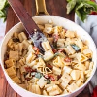 pasta tossed well into the sun dried tomato sauce