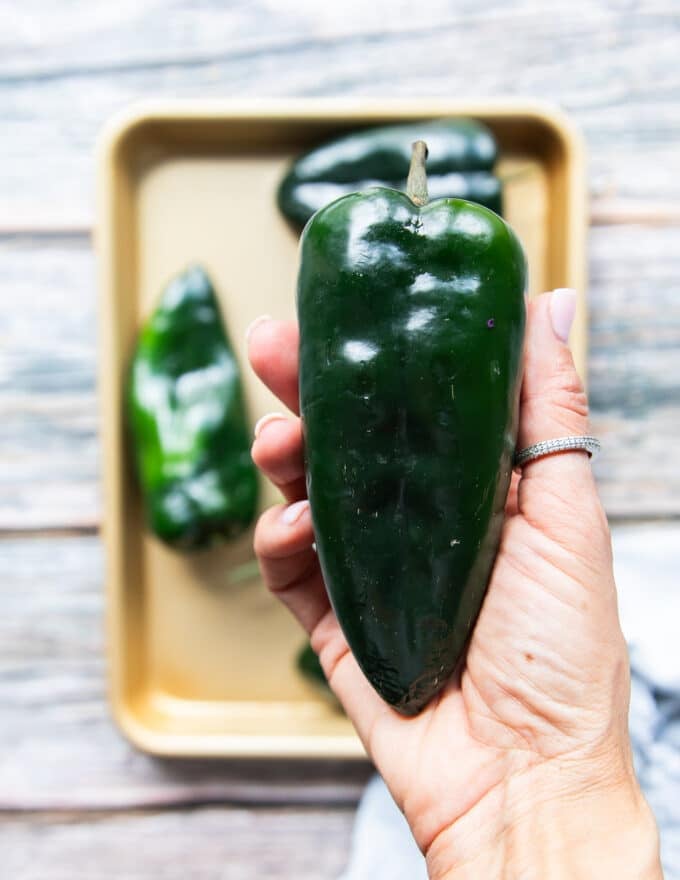 A hand holding a poblano pepper close up showing the hero ingredient close up