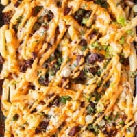 close up of the loaded fries plate all dressed up with sauces, herbs, seasoning and toppings