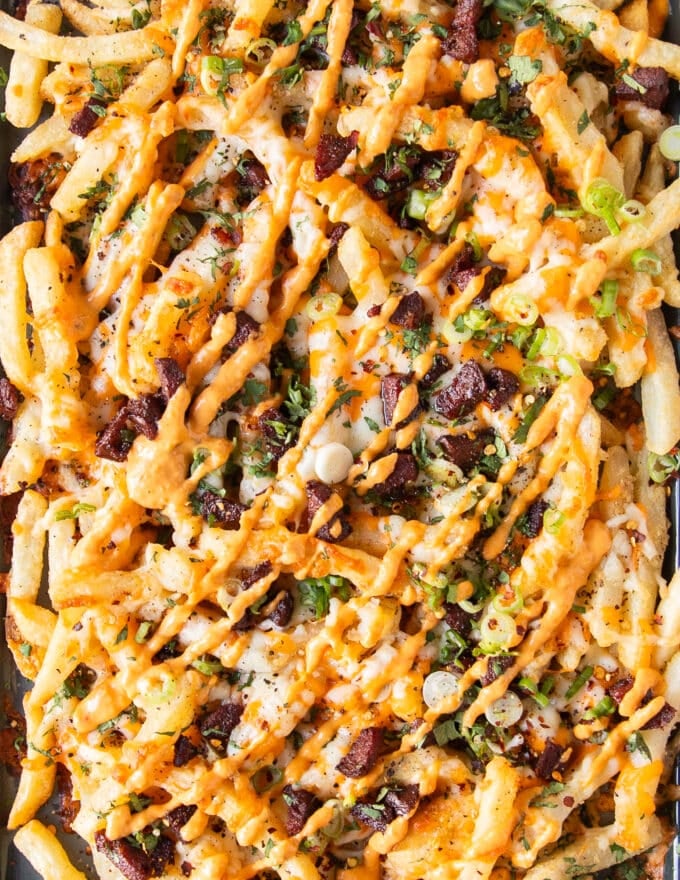close up of the loaded fries plate all dressed up with sauces, herbs, seasoning and toppings