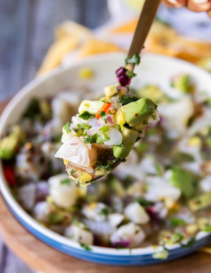 A spoonful of scallop ceviche close up showing the pieces of scallops, avocado, onion, cilantro, chilies in the lime and lemon and orange juices